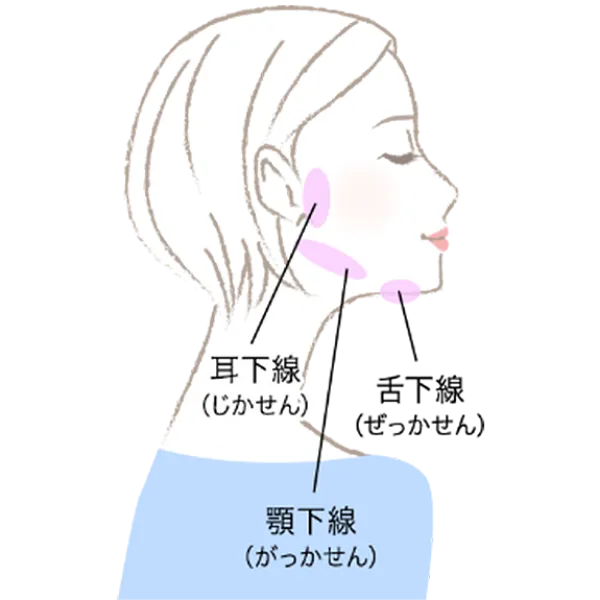 唾液腺マッサージ